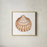 Shells III by Kathleen Parr McKenna. Shown in a natural wood glass frame for a timeless modern aesthetic. Available as an archival giclee rolled canvas, fine art paper, or poster print. SKU 16942a.
