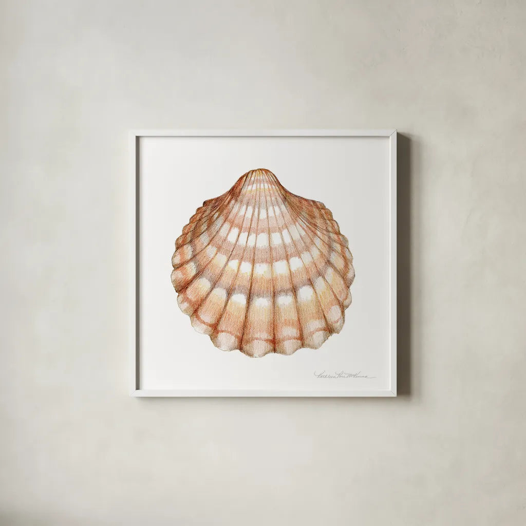 Shells III by Kathleen Parr McKenna. Shown in a crisp white glass frame for a clean and minimalist style. Available as an archival giclee rolled canvas, fine art paper, or poster print. SKU 16942a.