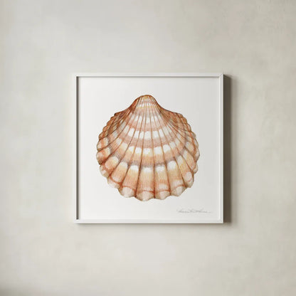 Shells III by Kathleen Parr McKenna. Shown in a crisp white glass frame for a clean and minimalist style. Available as an archival giclee rolled canvas, fine art paper, or poster print. SKU 16942a.