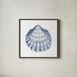 Shells III Blue and White by Kathleen Parr McKenna. Shown in a sleek black glass frame for a contemporary gallery look. Available as an archival giclee rolled canvas, fine art paper, or poster print. SKU 40557a.