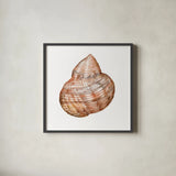 Shells IV by Kathleen Parr McKenna. Shown in a sleek black glass frame for a contemporary gallery look. Available as an archival giclee rolled canvas, fine art paper, or poster print. SKU 16943a.