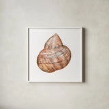 Shells IV by Kathleen Parr McKenna. Shown in a crisp white glass frame for a clean and minimalist style. Available as an archival giclee rolled canvas, fine art paper, or poster print. SKU 16943a.