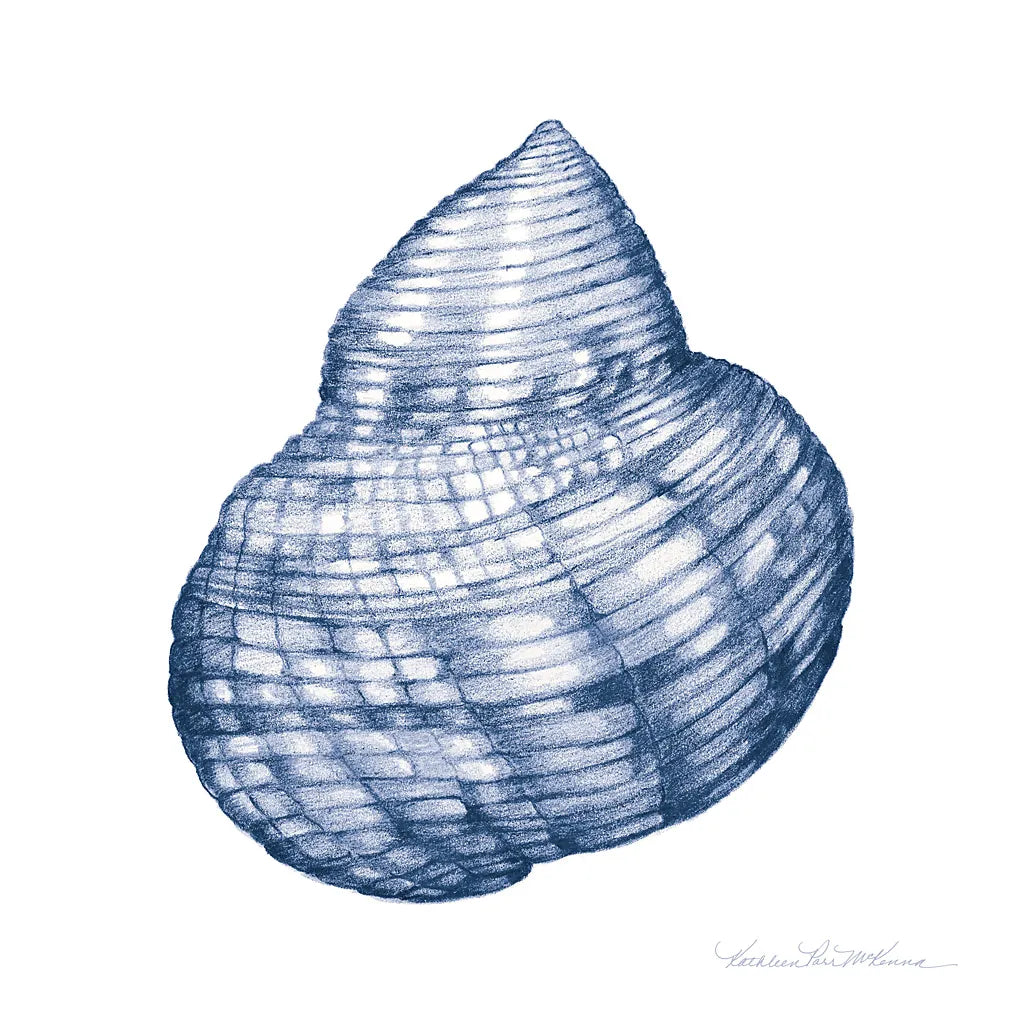 Shells IV Blue and White by Kathleen Parr McKenna. SKU 40558a. Archival Giclee Fine art print for wall decor.