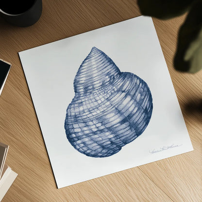 Shells IV Blue and White by Kathleen Parr McKenna. Shown as a detailed flat fine art print, highlighting archival giclee quality. Available as an archival giclee rolled canvas, fine art paper, or poster print. SKU 40558a.