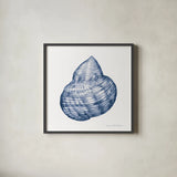 Shells IV Blue and White by Kathleen Parr McKenna. Shown in a sleek black glass frame for a contemporary gallery look. Available as an archival giclee rolled canvas, fine art paper, or poster print. SKU 40558a.