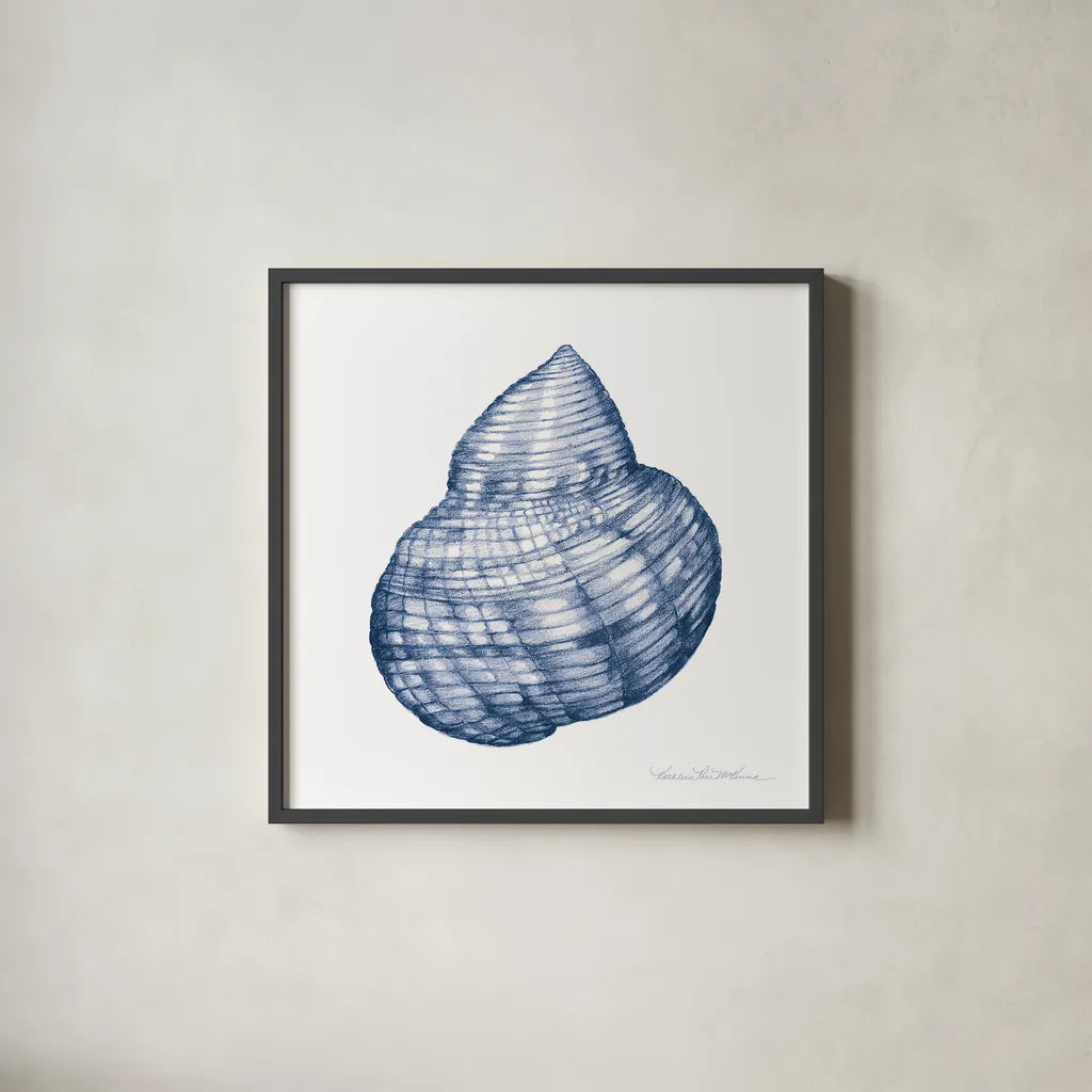 Shells IV Blue and White by Kathleen Parr McKenna. Shown in a sleek black glass frame for a contemporary gallery look. Available as an archival giclee rolled canvas, fine art paper, or poster print. SKU 40558a.