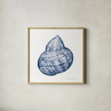 Shells IV Blue and White by Kathleen Parr McKenna. Shown in a natural wood glass frame for a timeless modern aesthetic. Available as an archival giclee rolled canvas, fine art paper, or poster print. SKU 40558a.