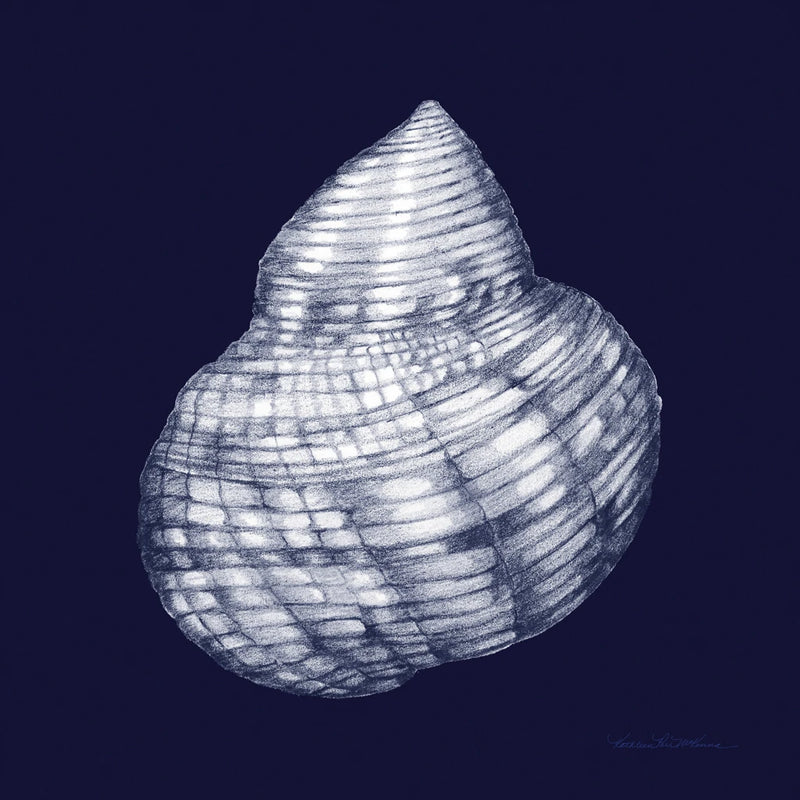 Shells IV Blue and White v2 by Kathleen Parr McKenna