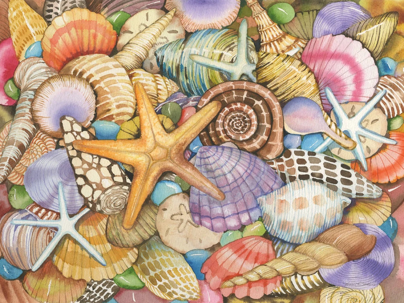 Shells of the Sea by Kathleen Parr McKenna