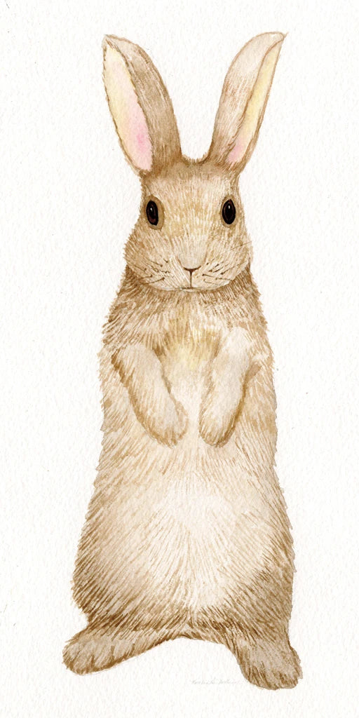 Spring Bunny II White by Kathleen Parr McKenna