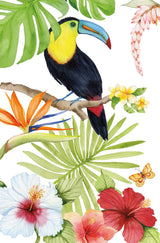 Treasures of the Tropics I by Kathleen Parr McKenna. SKU 34244h. Archival Giclee Fine art print for wall decor.