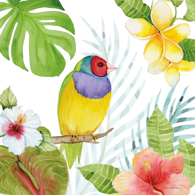 Treasures of the Tropics V by Kathleen Parr McKenna. SKU 34248a. Archival Giclee Fine art print for wall decor.