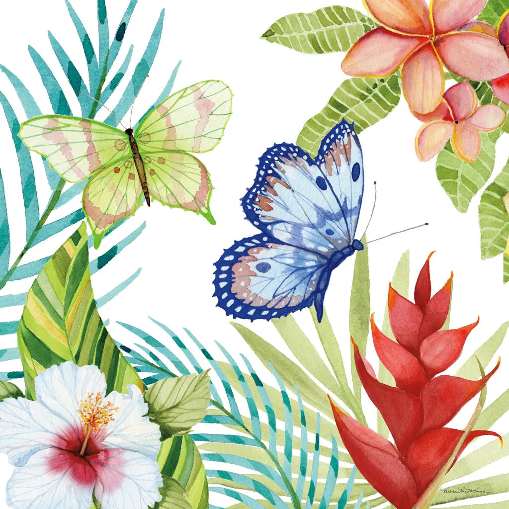 Treasures of the Tropics VI by Kathleen Parr McKenna. SKU 34249a. Archival Giclee Fine art print for wall decor.