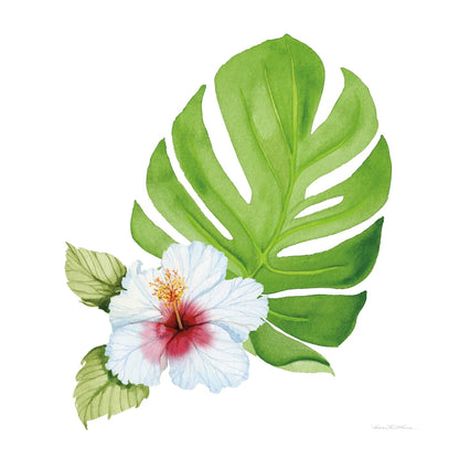 Treasures of the Tropics VIII by Kathleen Parr McKenna. SKU 37006a. Archival Giclee Fine art print for wall decor.