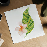 Treasures of the Tropics X by Kathleen Parr McKenna. Shown as a detailed flat fine art print, highlighting archival giclee quality. Available as an archival giclee rolled canvas, fine art paper, or poster print. SKU 37008a.