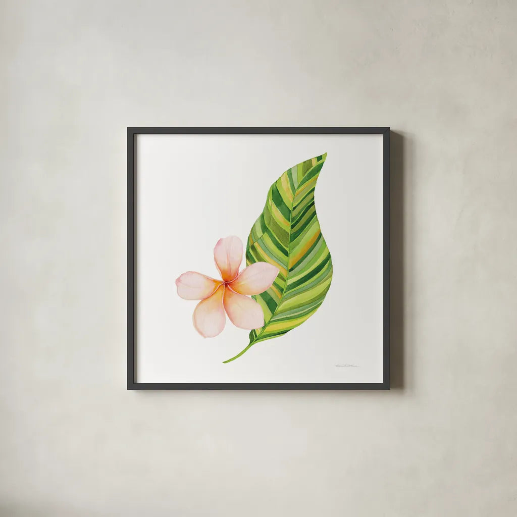Treasures of the Tropics X by Kathleen Parr McKenna. Shown in a sleek black glass frame for a contemporary gallery look. Available as an archival giclee rolled canvas, fine art paper, or poster print. SKU 37008a.