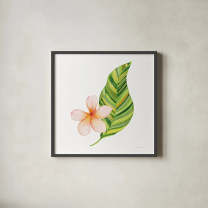 Treasures of the Tropics X by Kathleen Parr McKenna. Shown in a sleek black glass frame for a contemporary gallery look. Available as an archival giclee rolled canvas, fine art paper, or poster print. SKU 37008a.