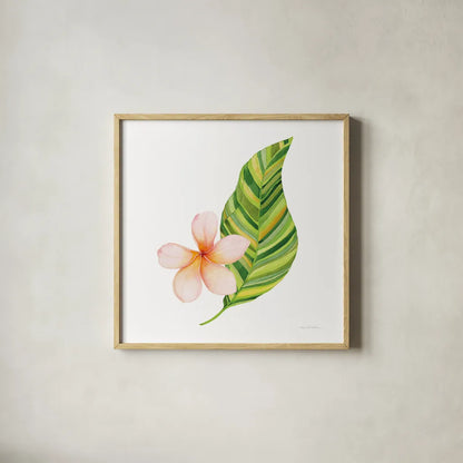 Treasures of the Tropics X by Kathleen Parr McKenna. Shown in a natural wood glass frame for a timeless modern aesthetic. Available as an archival giclee rolled canvas, fine art paper, or poster print. SKU 37008a.