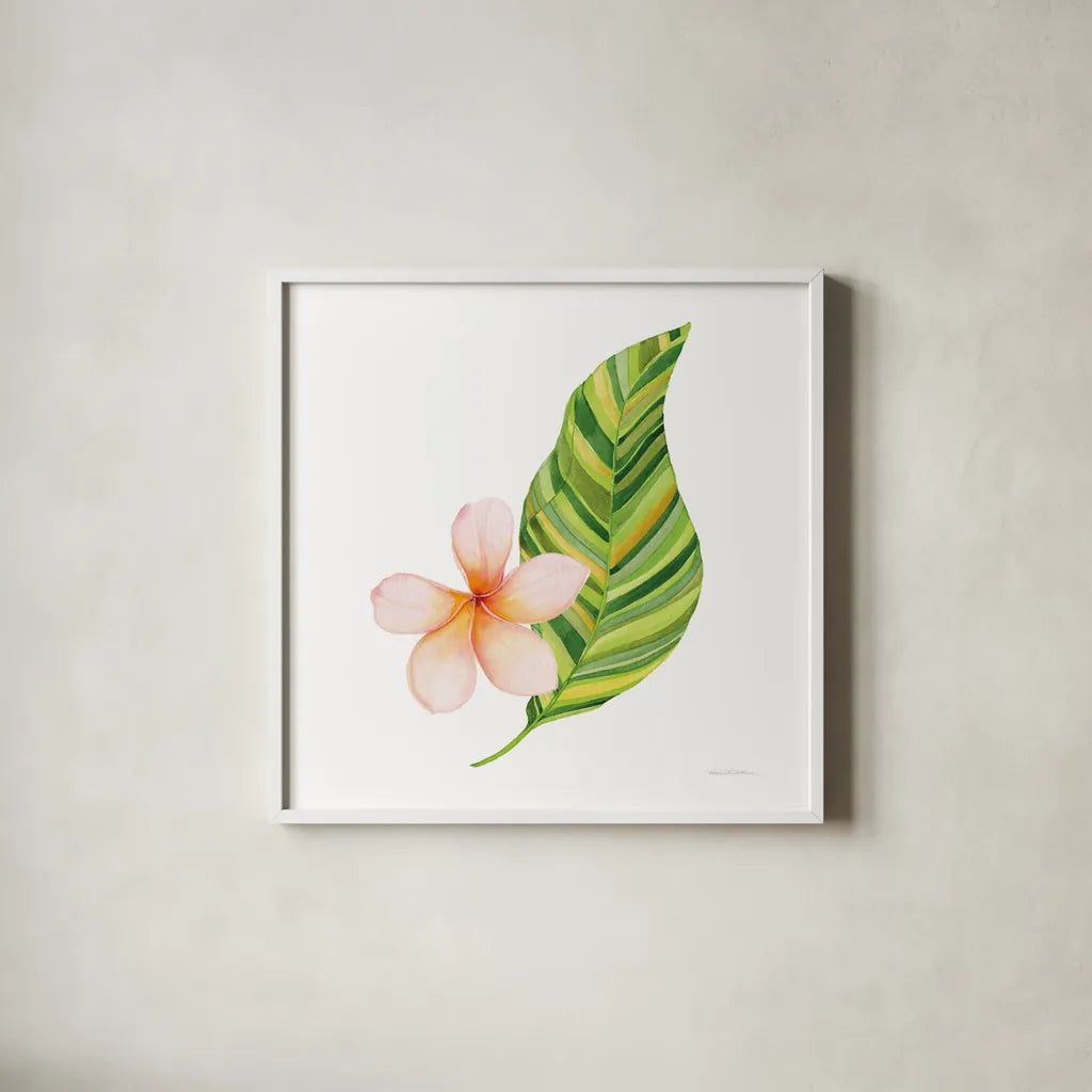 Treasures of the Tropics X by Kathleen Parr McKenna. Shown in a crisp white glass frame for a clean and minimalist style. Available as an archival giclee rolled canvas, fine art paper, or poster print. SKU 37008a.