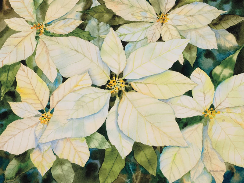 White Poinsettia by Kathleen Parr McKenna