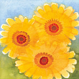 Daisy Day I by Kathrine Lovell. SKU 85514a. Archival Giclee Fine art print for wall decor.