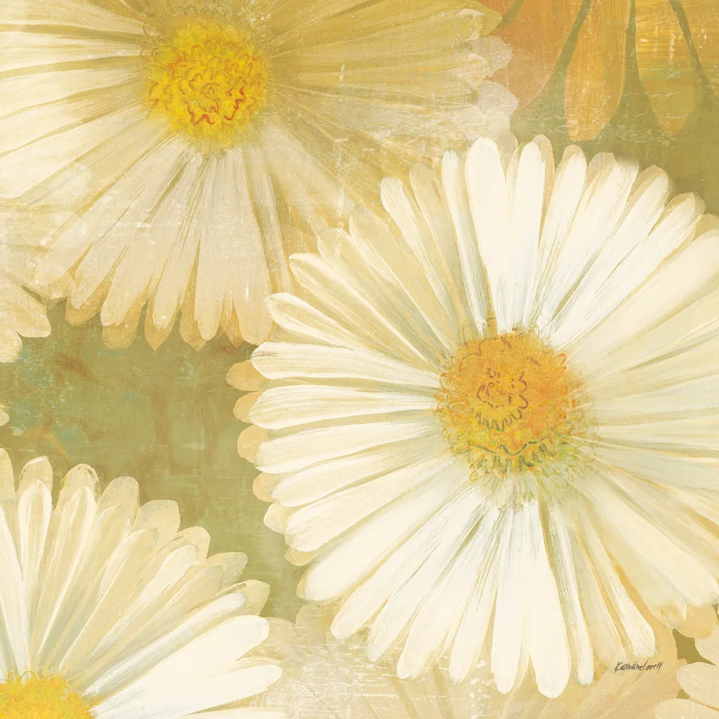 Daisy Story Square I by Kathrine Lovell. SKU 2080a. Archival Giclee Fine art print for wall decor.