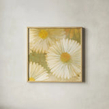 Daisy Story Square I by Kathrine Lovell. Shown in a natural wood glass frame for a timeless modern aesthetic. Available as an archival giclee rolled canvas, fine art paper, or poster print. SKU 2080a.