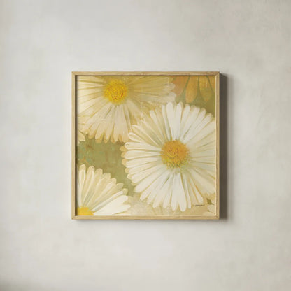 Daisy Story Square I by Kathrine Lovell. Shown in a natural wood glass frame for a timeless modern aesthetic. Available as an archival giclee rolled canvas, fine art paper, or poster print. SKU 2080a.
