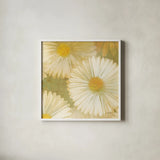 Daisy Story Square I by Kathrine Lovell. Shown in a crisp white glass frame for a clean and minimalist style. Available as an archival giclee rolled canvas, fine art paper, or poster print. SKU 2080a.