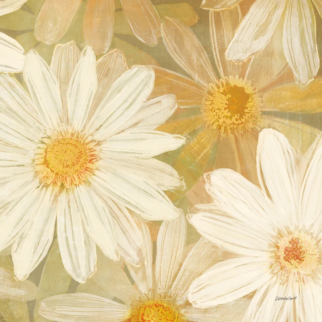Daisy Story Square II by Kathrine Lovell. SKU 2081a. Archival Giclee Fine art print for wall decor.