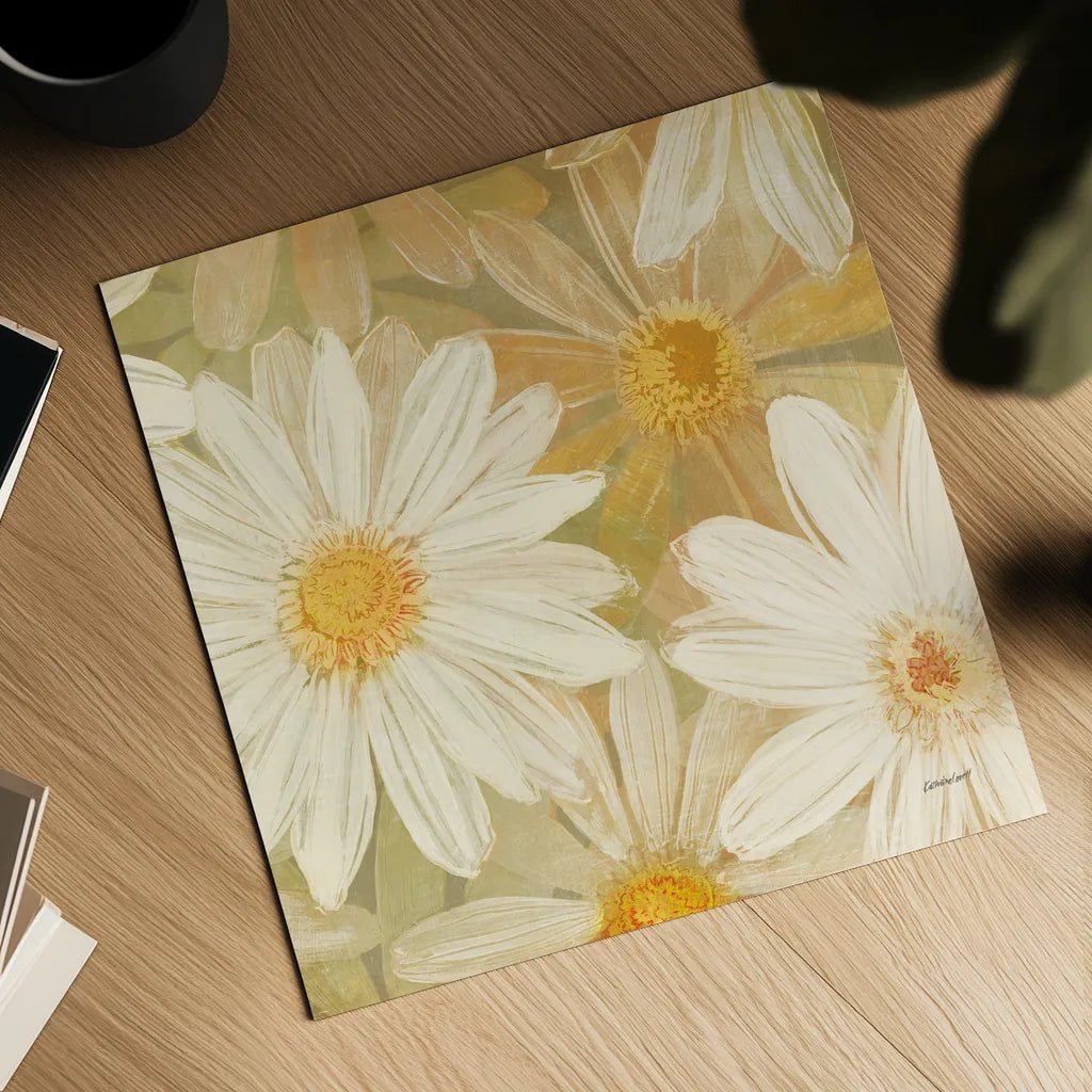 Daisy Story Square II by Kathrine Lovell. Shown as a detailed flat fine art print, highlighting archival giclee quality. Available as an archival giclee rolled canvas, fine art paper, or poster print. SKU 2081a.