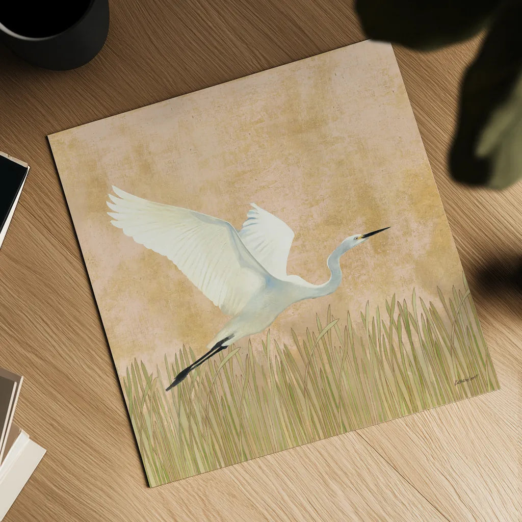 Egret Alighting II by Kathrine Lovell. Shown as a detailed flat fine art print, highlighting archival giclee quality. Available as an archival giclee rolled canvas, fine art paper, or poster print. SKU 67991a.
