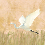 Egret Alighting II Flipped by Kathrine Lovell. SKU 68083a. Archival Giclee Fine art print for wall decor.