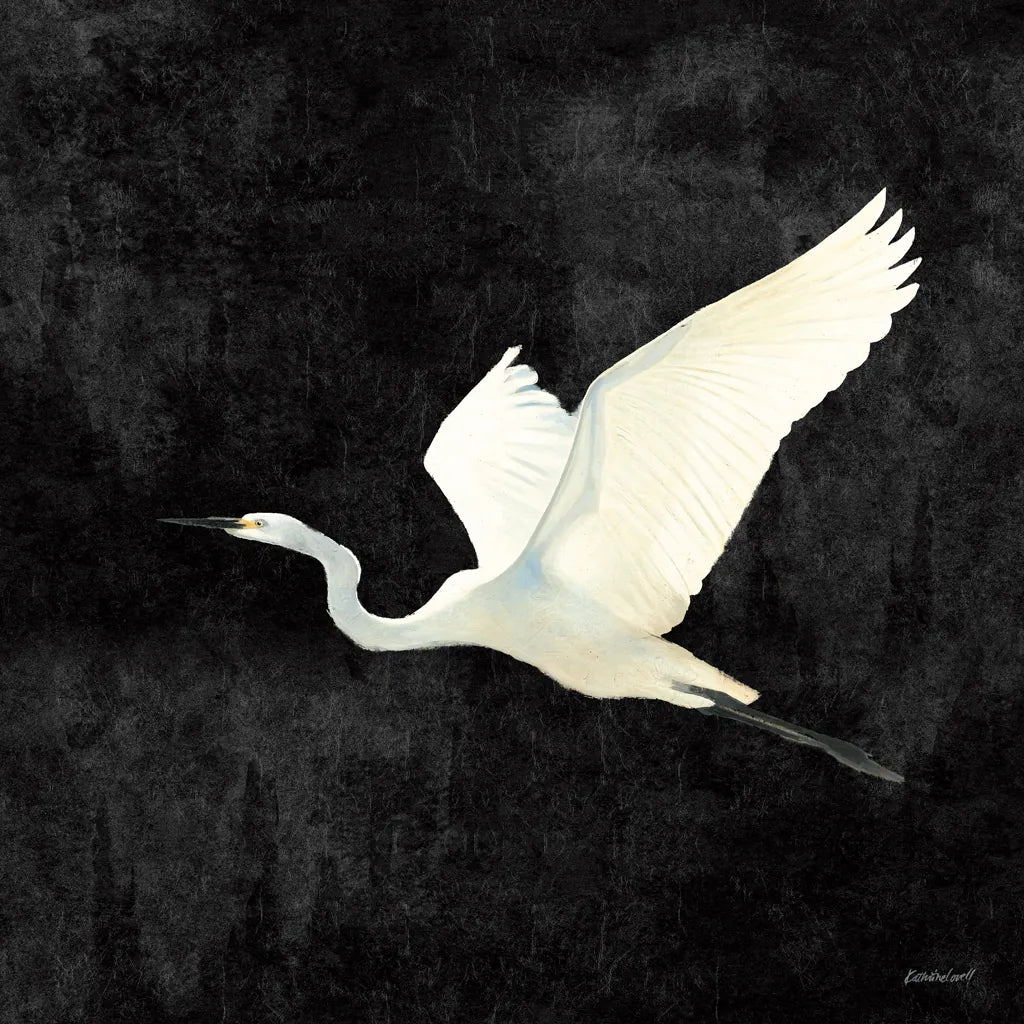 Egret Alighting II Flipped Black by Kathrine Lovell. SKU 79055a. Archival Giclee Fine art print for wall decor.
