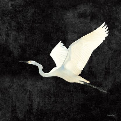 Egret Alighting II Flipped Black by Kathrine Lovell. SKU 79055a. Archival Giclee Fine art print for wall decor.
