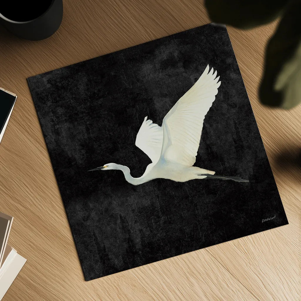 Egret Alighting II Flipped Black by Kathrine Lovell. Shown as a detailed flat fine art print, highlighting archival giclee quality. Available as an archival giclee rolled canvas, fine art paper, or poster print. SKU 79055a.