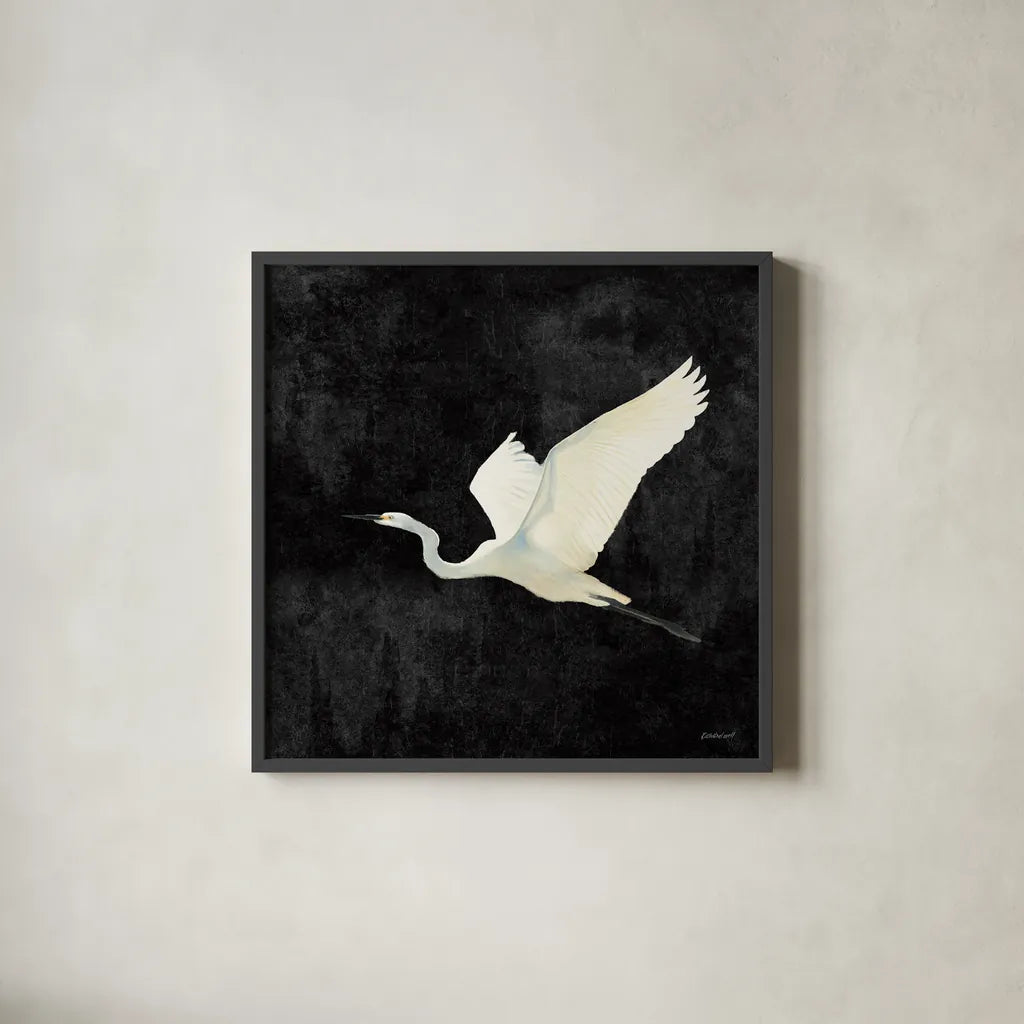 Egret Alighting II Flipped Black by Kathrine Lovell. Shown in a sleek black glass frame for a contemporary gallery look. Available as an archival giclee rolled canvas, fine art paper, or poster print. SKU 79055a.