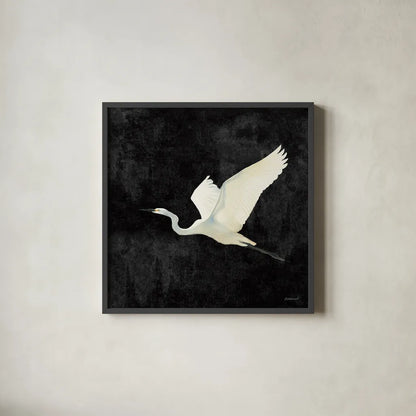 Egret Alighting II Flipped Black by Kathrine Lovell. Shown in a sleek black glass frame for a contemporary gallery look. Available as an archival giclee rolled canvas, fine art paper, or poster print. SKU 79055a.