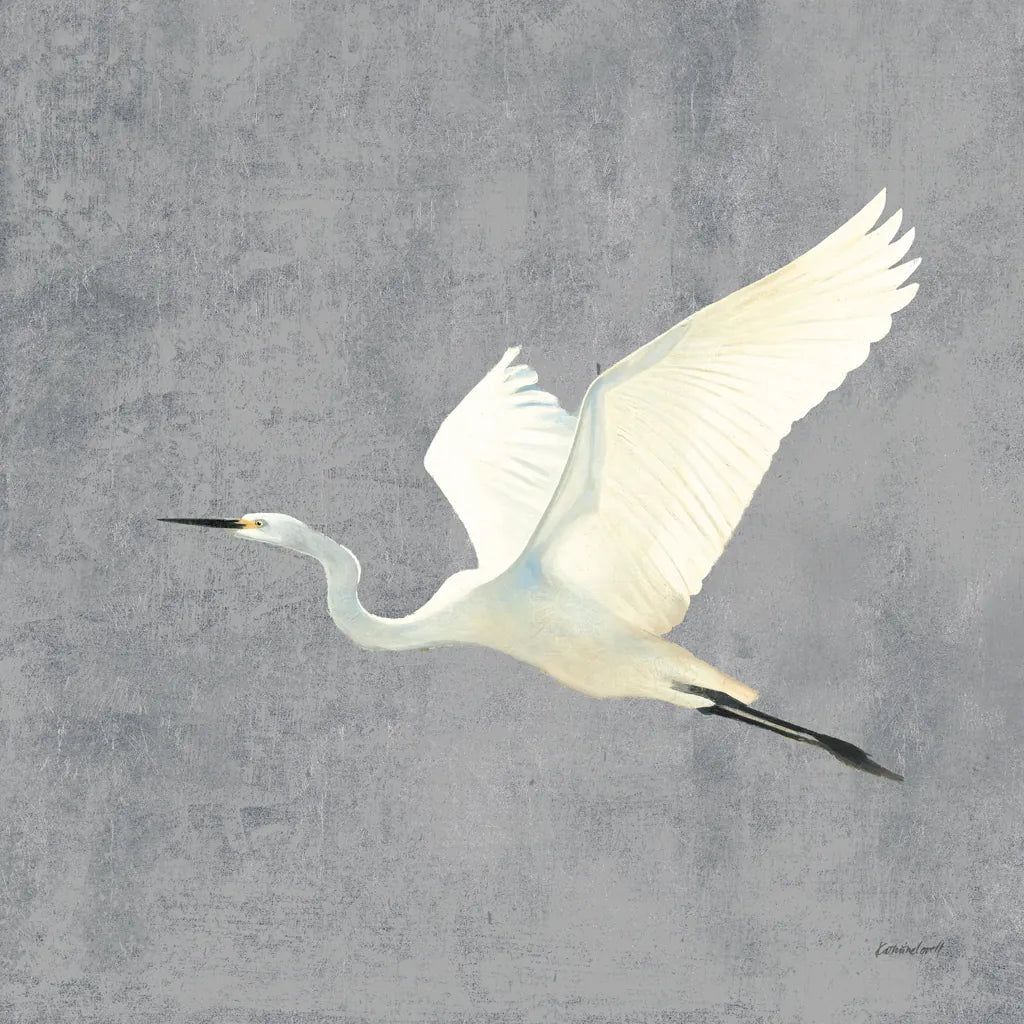 Egret Alighting II Flipped Gray No Grass by Kathrine Lovell. SKU 82835a. Archival Giclee Fine art print for wall decor.