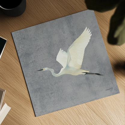 Egret Alighting II Flipped Gray No Grass by Kathrine Lovell. Shown as a detailed flat fine art print, highlighting archival giclee quality. Available as an archival giclee rolled canvas, fine art paper, or poster print. SKU 82835a.