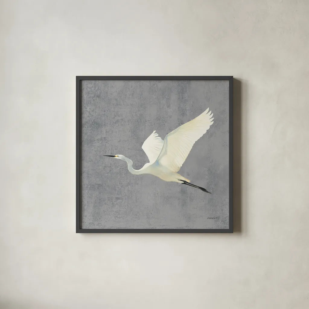 Egret Alighting II Flipped Gray No Grass by Kathrine Lovell. Shown in a sleek black glass frame for a contemporary gallery look. Available as an archival giclee rolled canvas, fine art paper, or poster print. SKU 82835a.