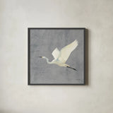 Egret Alighting II Flipped Gray No Grass by Kathrine Lovell. Shown in a sleek black glass frame for a contemporary gallery look. Available as an archival giclee rolled canvas, fine art paper, or poster print. SKU 82835a.