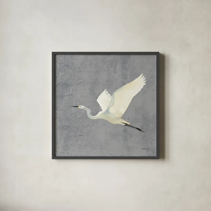 Egret Alighting II Flipped Gray No Grass by Kathrine Lovell. Shown in a sleek black glass frame for a contemporary gallery look. Available as an archival giclee rolled canvas, fine art paper, or poster print. SKU 82835a.