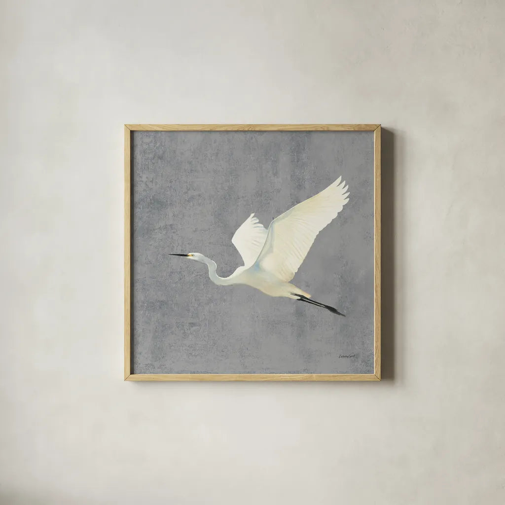 Egret Alighting II Flipped Gray No Grass by Kathrine Lovell. Shown in a natural wood glass frame for a timeless modern aesthetic. Available as an archival giclee rolled canvas, fine art paper, or poster print. SKU 82835a.
