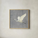 Egret Alighting II Flipped Gray No Grass by Kathrine Lovell. Shown in a natural wood glass frame for a timeless modern aesthetic. Available as an archival giclee rolled canvas, fine art paper, or poster print. SKU 82835a.