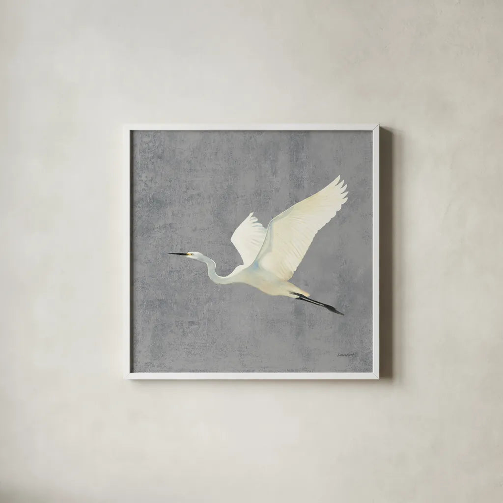 Egret Alighting II Flipped Gray No Grass by Kathrine Lovell. Shown in a crisp white glass frame for a clean and minimalist style. Available as an archival giclee rolled canvas, fine art paper, or poster print. SKU 82835a.