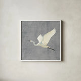 Egret Alighting II Flipped Gray No Grass by Kathrine Lovell. Shown in a crisp white glass frame for a clean and minimalist style. Available as an archival giclee rolled canvas, fine art paper, or poster print. SKU 82835a.