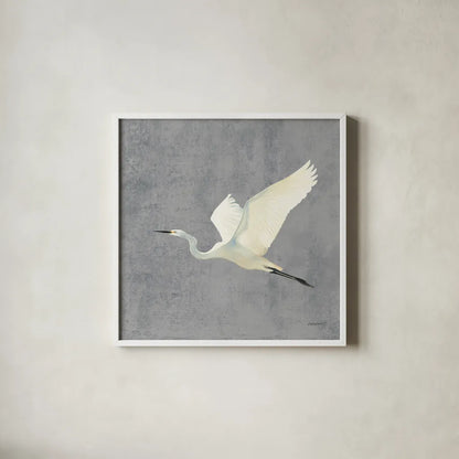 Egret Alighting II Flipped Gray No Grass by Kathrine Lovell. Shown in a crisp white glass frame for a clean and minimalist style. Available as an archival giclee rolled canvas, fine art paper, or poster print. SKU 82835a.