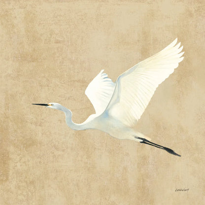 Egret Alighting II Flipped Neutral No Grass by Kathrine Lovell. SKU 82834a. Archival Giclee Fine art print for wall decor.