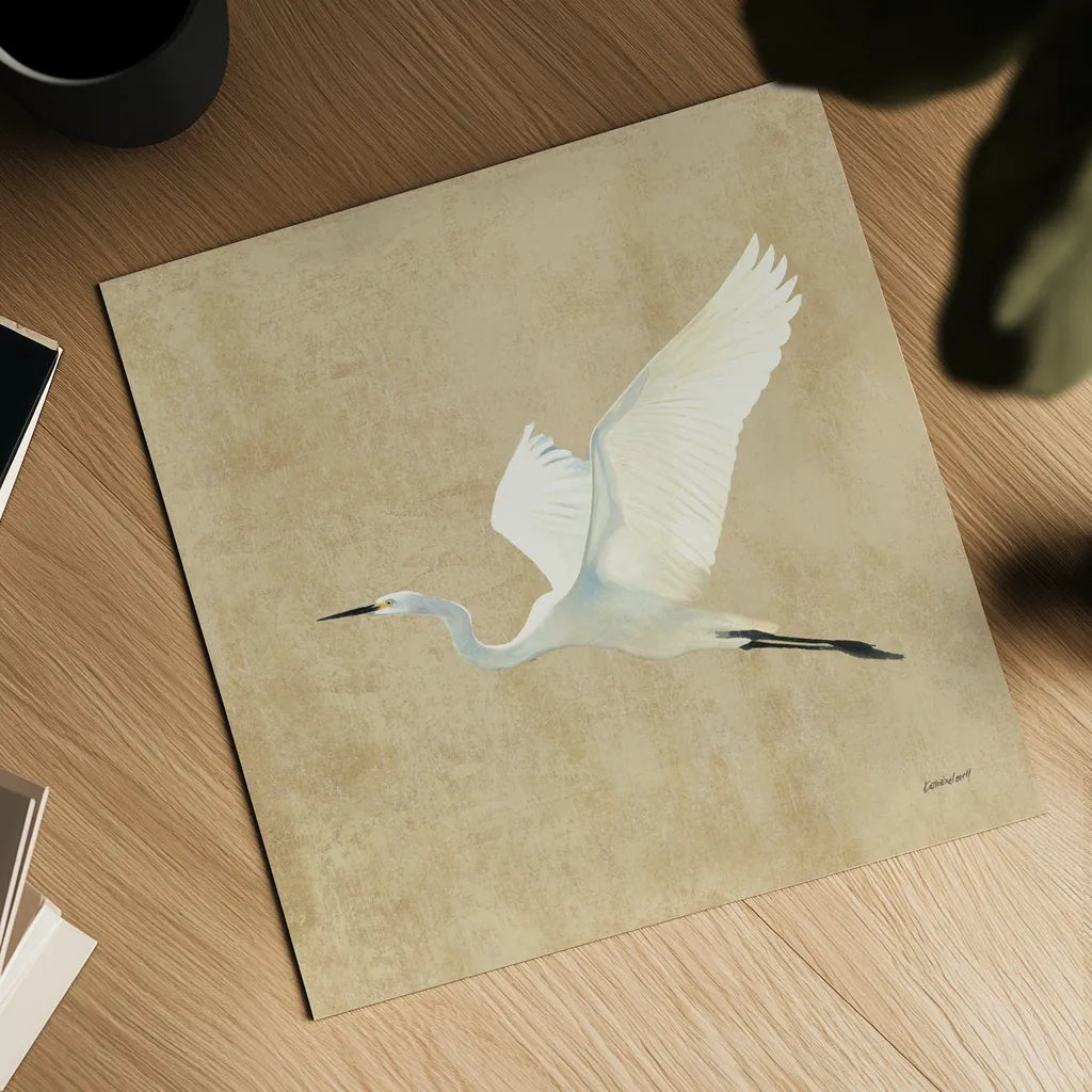 Egret Alighting II Flipped Neutral No Grass by Kathrine Lovell. Shown as a detailed flat fine art print, highlighting archival giclee quality. Available as an archival giclee rolled canvas, fine art paper, or poster print. SKU 82834a.